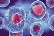اثربخشی درمان دیابت با سلولهای بنیادی بر اساس پروفایل متابولومیکی: یک مطالعه مروری نظام مند و فراتحلیل